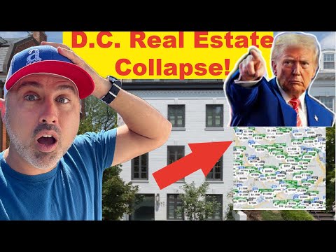 The Washington DC