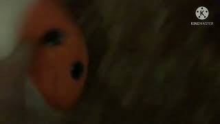 BFE Episode 8  A SPLIT!!!!!     ! !
