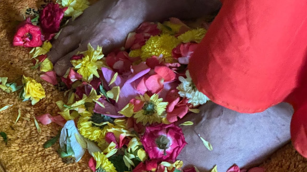 💐💐💐Most Revered Swami Gautamanandaji Maharaj Heartily Welcomed by Ramakrishna Math Halasuru 🙏🙏🙏🇮🇳