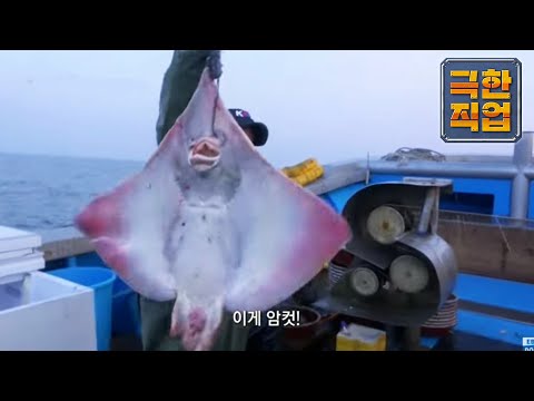 극한직업 - Extreme JOB_삭혀 먹는 맛! 홍어와 가자미_#001