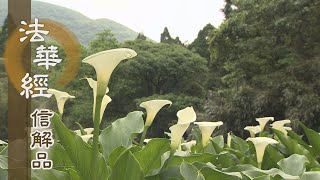 【靜思妙蓮華】法華經信解品 - 無常苦空 真空妙有 - 20210408 第759集