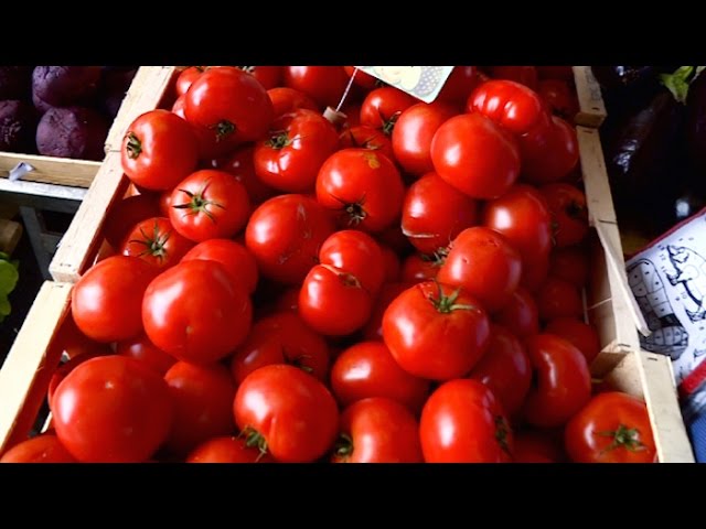 Terroir : la tomate, incontournable et bon marché l'été