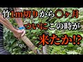 【竹1m切り経過報告】ついに、この時が来たか!?