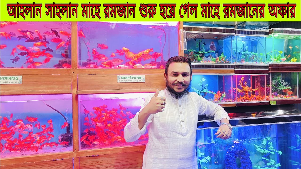 Aquarium Fish Price In katabon 2026|🐠🐠 Aquarium Fish Price | Aquarium | AR Rahman aquarium🐠🐠