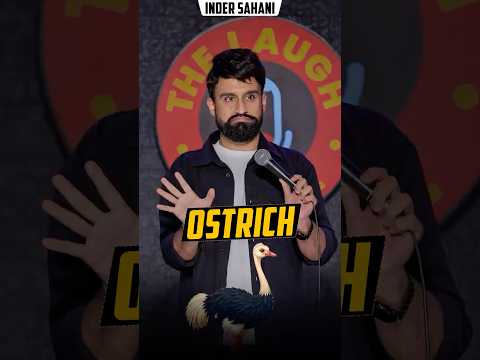 Ostrich  #standupcomedy #comedy #funny