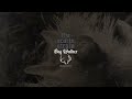 The Acacia Strain - bog walker (feat. sam sawyer) (Visualizer)