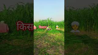 किसान🌿 .....👳👑👍 #viral #farming  #farmer #kheti #kisan #shortvideo #shortsfeed