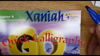 Quick calligraphy lettering with a chisel point Sharpie on a book cover