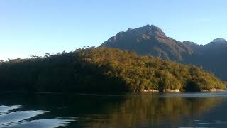 Frienship 2do portal. Isla Leucoton