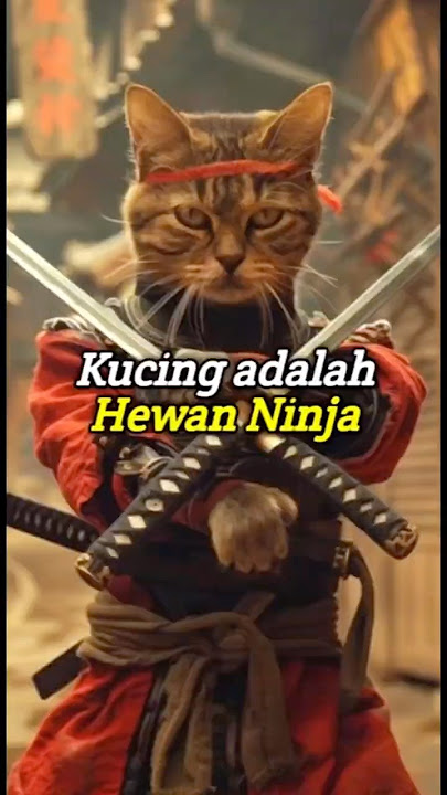 Proof that Cats are Ninjas #cutecats #cuteanimals