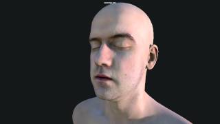 DX11 engine - Material mapper rendering skin