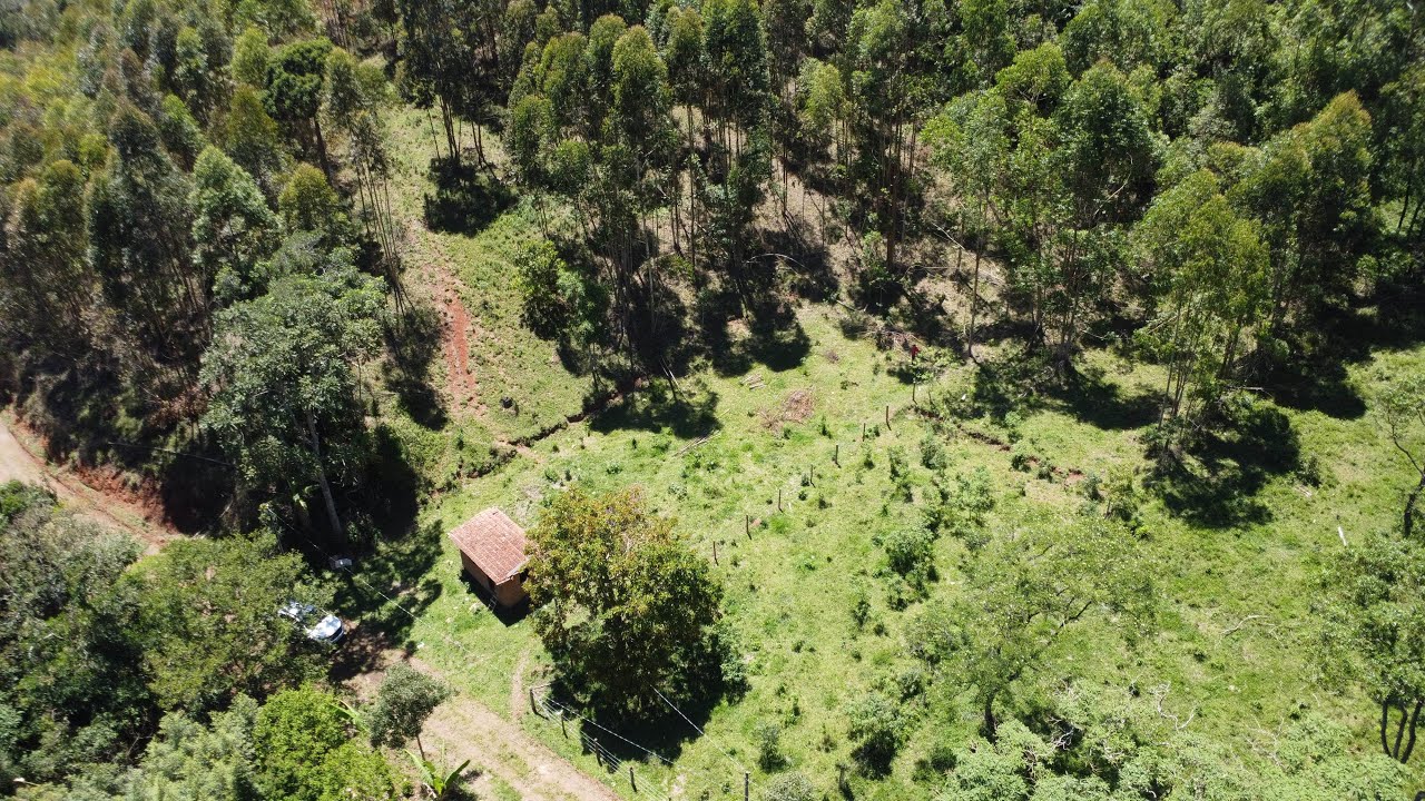 Área 6.500 m2 R$ 130.000 Cambui-MG- energia elétrica/ água de poço/ escritura registrada 