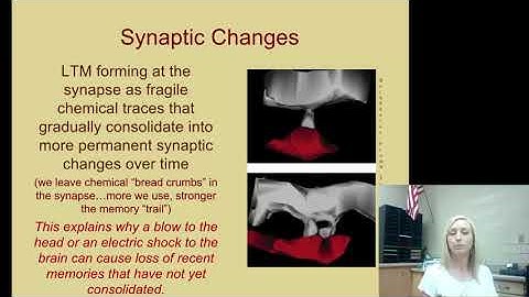 Storage Flipped Notes Part One for AP Psychology by Mandy Rice