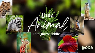🦊Are You an Animal Expert? Prove It with This Quiz!🐾
