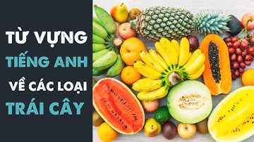 Từ Vựng Tiếng Anh Về Các Loại Hoa Quả | Fruits name in English