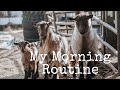 My Morning Routine as a Barrel Racer! Morning Routine With 20 + Animals! || Camo Cowgirl