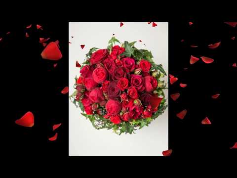 Βίντεο: Τι συμβολίζει ένα μπουκέτο με 5 κόκκινα τριαντάφυλλα