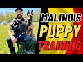 BELGIAN MALINOIS PUPPY TRAINING!! 5 MONTHS OLD // ANDY KRUEGER