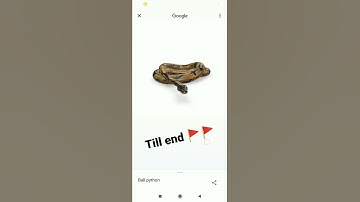 Biggest ¡ Python snake 3d view :// #Shorts #Shortvideo #Snake #tiktok #python