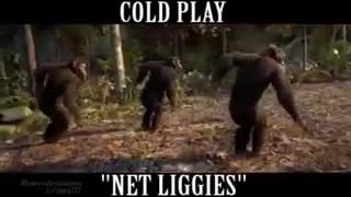 Net liggies