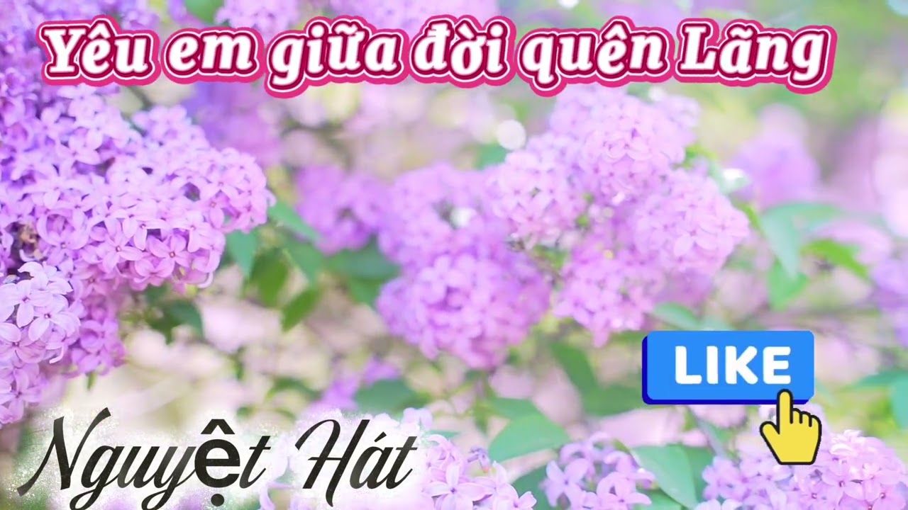 Nguyệt Hát/ Yêu Em Giữa Đời Quên Lãng @nguyethat00 #cover #nhachaymoingay #canhactrutinh 