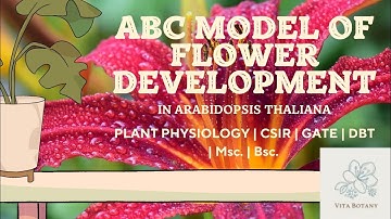 ABC Model of Flower Development CSIR Net detailed explanation