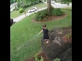 Woman Chases After Dog Falls Bushes | Collab Clips