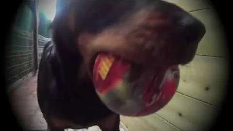 zia gopro ralenti