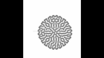 C++/SFML - Coral Growth Simulation (15x speed)