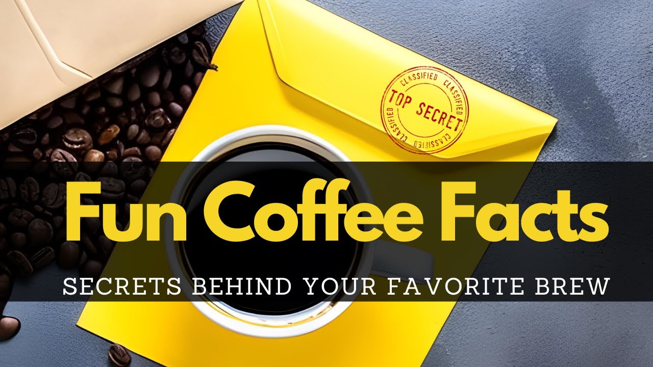 Fun Coffee Facts Discover the Secrets Behind Your Favorite Brew YouTube