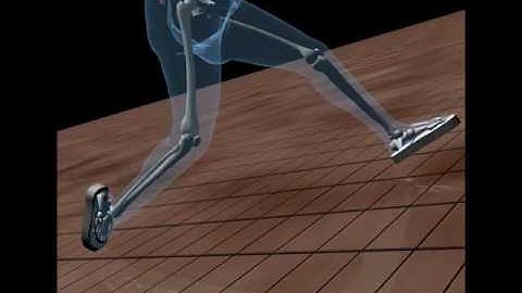 Computer Animated Slip-and-Fall with Injury