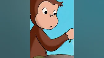 ¡Ayudar a que crezcan las flores! #shorts