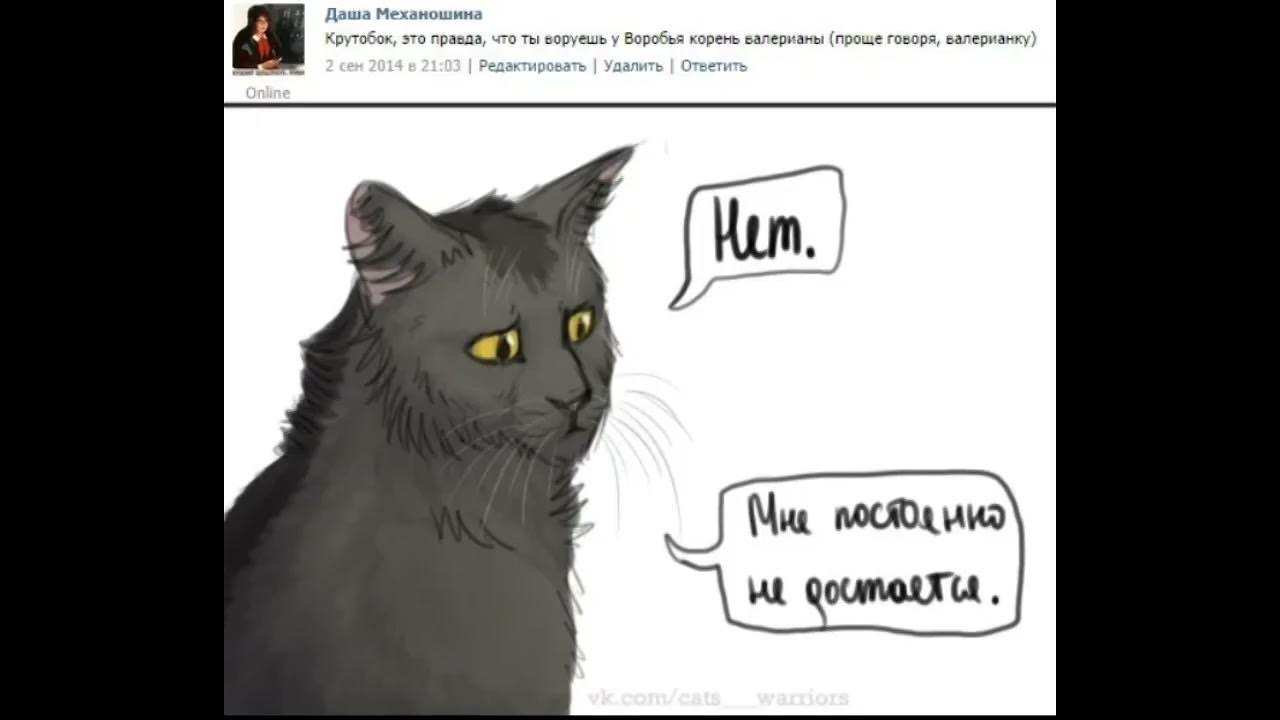Мемы с котами воителями на русском озвучка мемов по кв 3 - YouTube