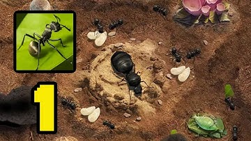 The Ants Underground Kingdom‏ Gameplay Walkthrough Part 1 (Android,IOS)