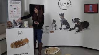 LINK AKC Featured on Amazon Livestream