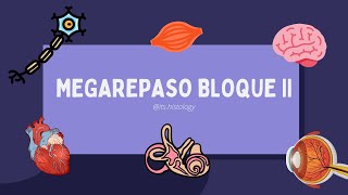 MEGAREPASO II 2022 parte 2 - its.histology