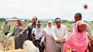 Aanaa Fadis Arnaa Bobbaasaatti Dubartoota Harka Qalleeyyiif Beeyladoonni Garagaraa Kenname.