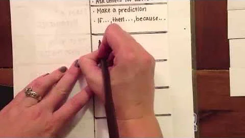 Scientific Method Foldable