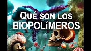 Qué son los biopolímeros: La mejor explicación