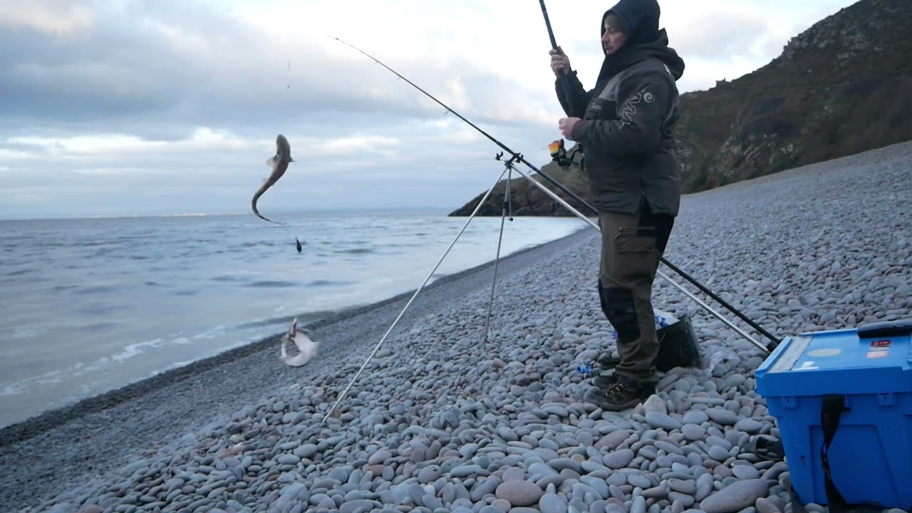 Double shot Bait additive doing its thing! Bossington - Shore Fishing - UK