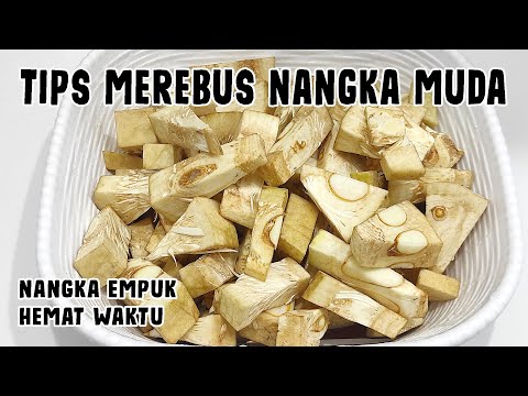 Cara Merebus Tewel