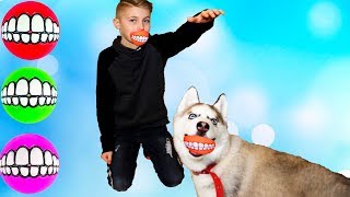 Хаски завалил ДАНЮ!!!Funny BaBy play with Funny Husky!!!Играем с Смешным-Хаски!!! Хаски завалил ДАНЮ!!!Funny BaBy play with Funny Husky!!!Играем с Смешным-Хаски!!!