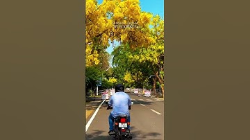 IIT Roorkee Campus Tour 🫀| IIT MOTIVATION 🔥😈#iit #motivation #iitroorkee