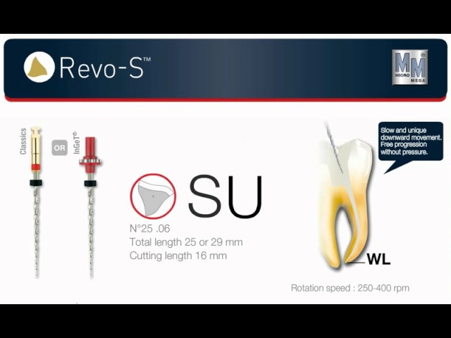 Micro Mega Revo S NiTi Rotary Files