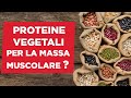 Proteine vegetali per la massa muscolare