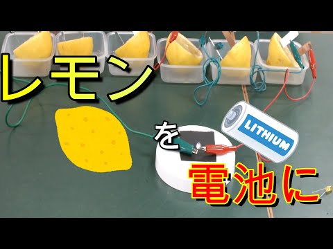 [理科実験]レモン何個でLEDは点灯する？？レモン電池の仕組みを解説！