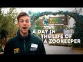 A Day In Life Of Zookeeper