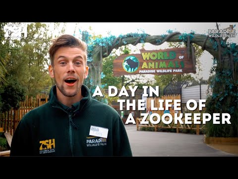 Video: Kan zoöloog in dierentuinen werken?