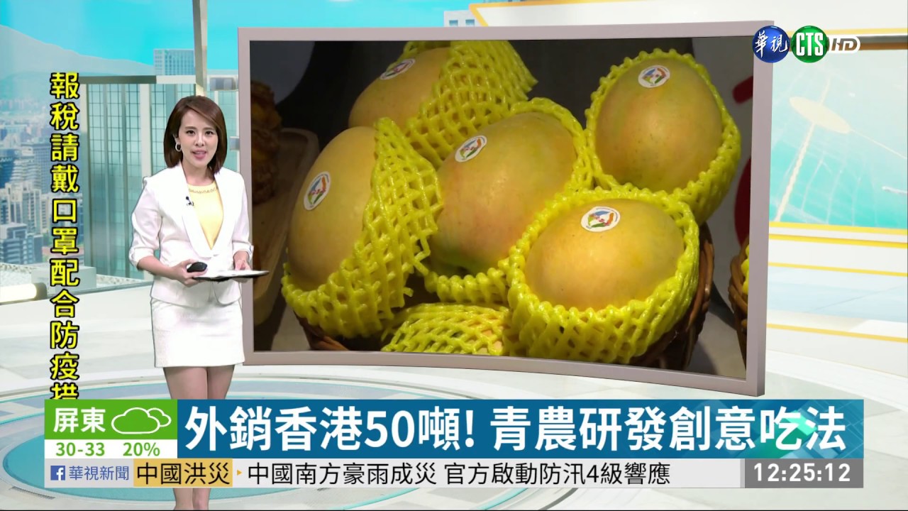 芒果界lv 夏雪芒果產地每斤0元 華視新聞網