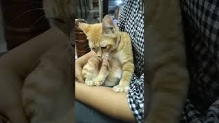 Monalisa Lagi Pijat Mama